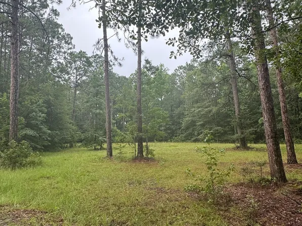 0 Sara Lynn Dr, Claxton, GA 30417