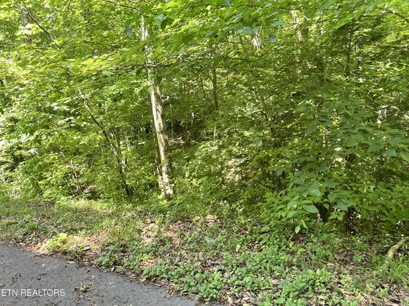 0 Fir Dr, Sevierville, TN 37876