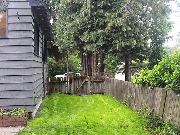 Side Yard