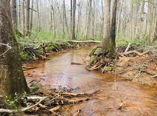 0 Strickland Town Rd, Luthersville, GA 30251