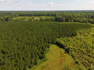 Palmetto Sands Rd, Branchville, SC 29432