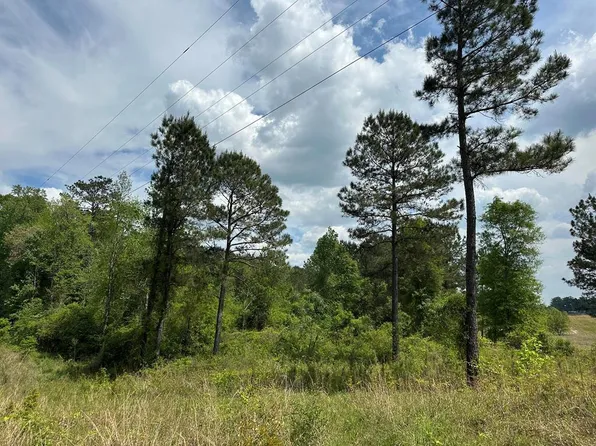 0 Rastus Riels Rd, Seminary, MS 39479