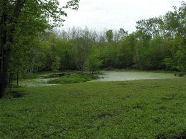 2nd image of Bluffs Rd.