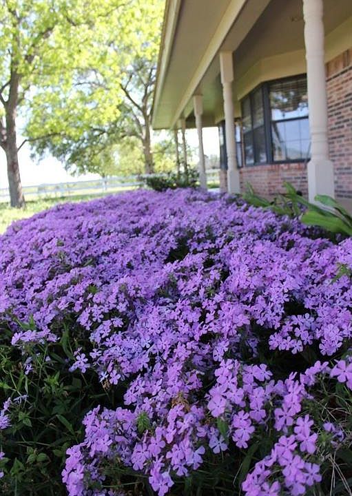 3100 Highway 16 N, De Leon, TX 76444 MLS 20250069 Zillow