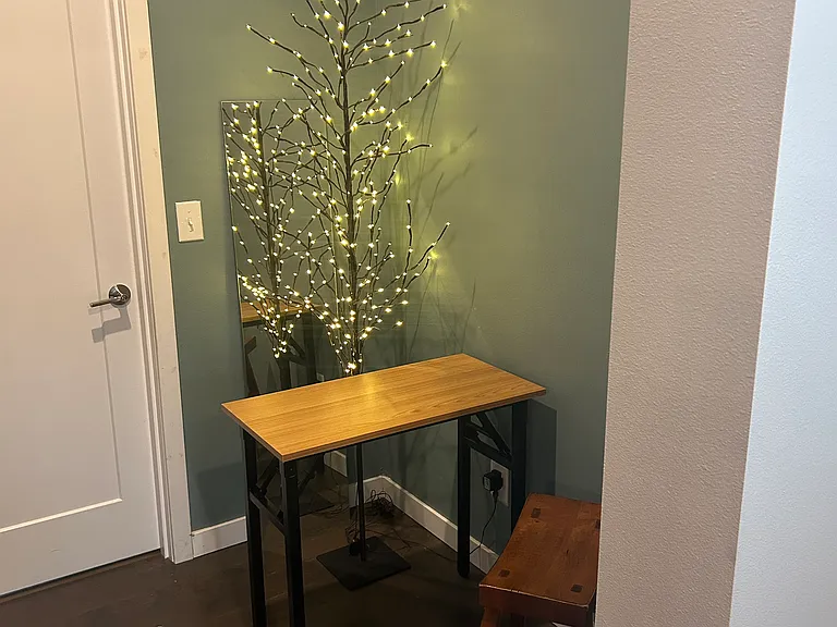 Kitchenette/pantry area
