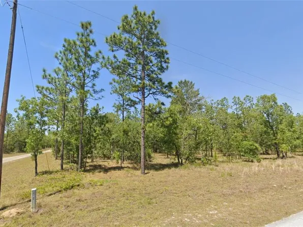LOT 31 SE 133rd Ave, Dunnellon, FL 34431