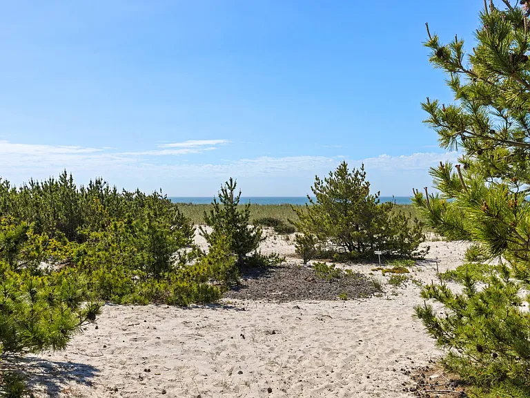 423 Dune Rd #A — Photo 29