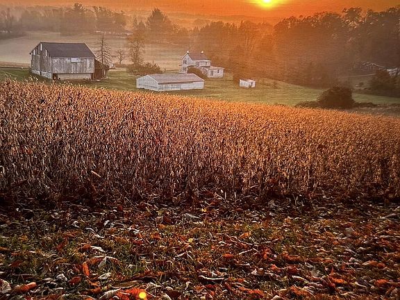 3rd image of 3413 Mount Zion Rd