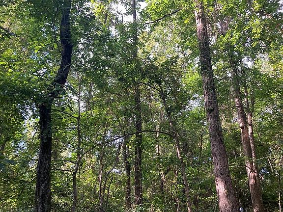 2nd image of 1301 Mount Zion Rd