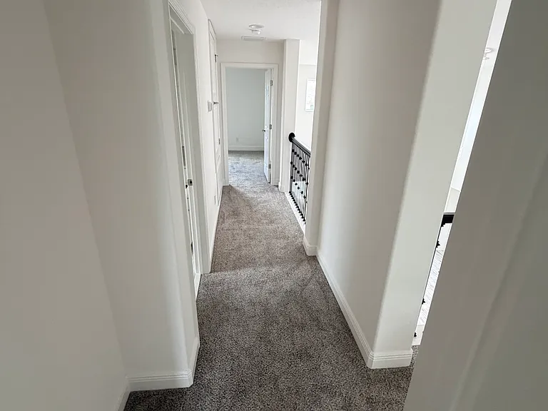 4925 Olivia Ct — Photo 34