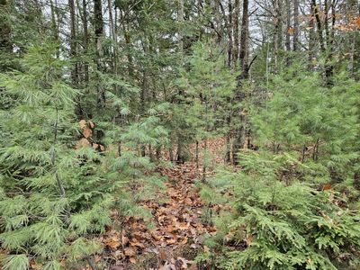 M5 L38 Winding Hill Road, Norridgewock, ME, 04957