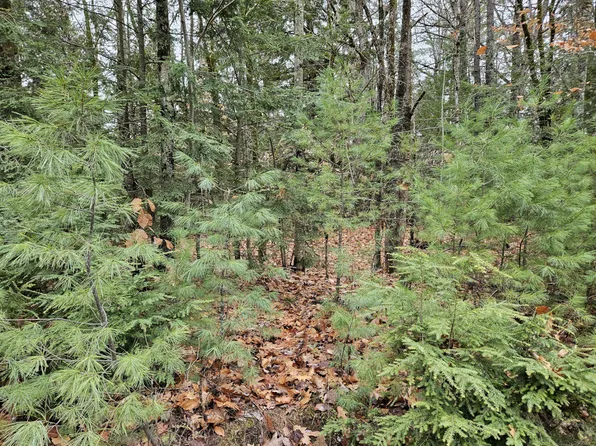 M5 L38 Winding Hill Road, Norridgewock, ME 04957