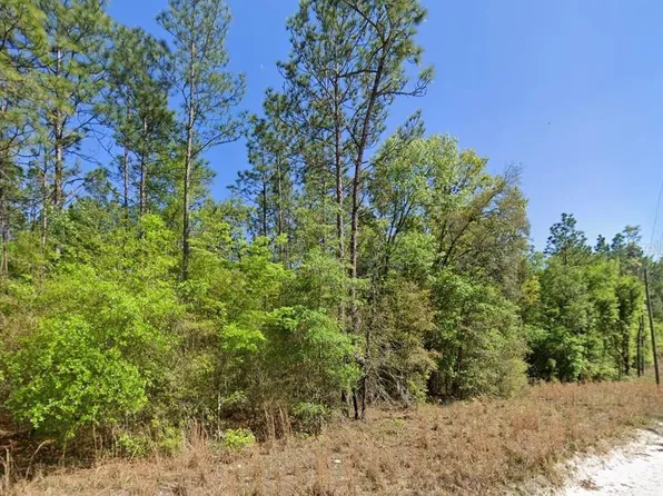 NW 16th Ave Lot 5, Bell, FL 32619