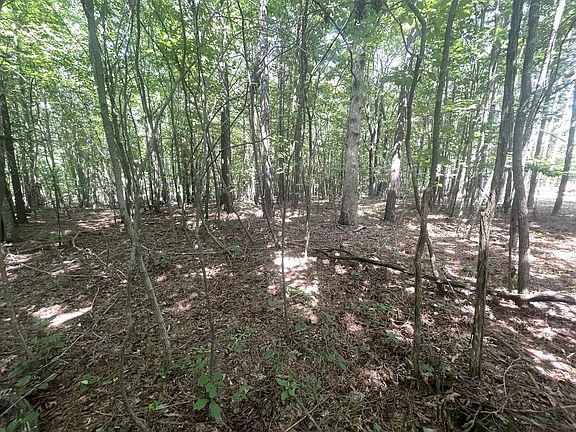 3rd image of 0 Tall Woods Ln Lot 8