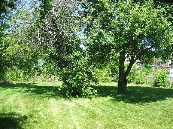 Fenced Back Yard, Mature Trees