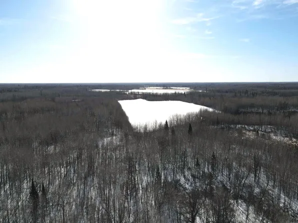 Town Hall Rd, Blackduck, MN 56630