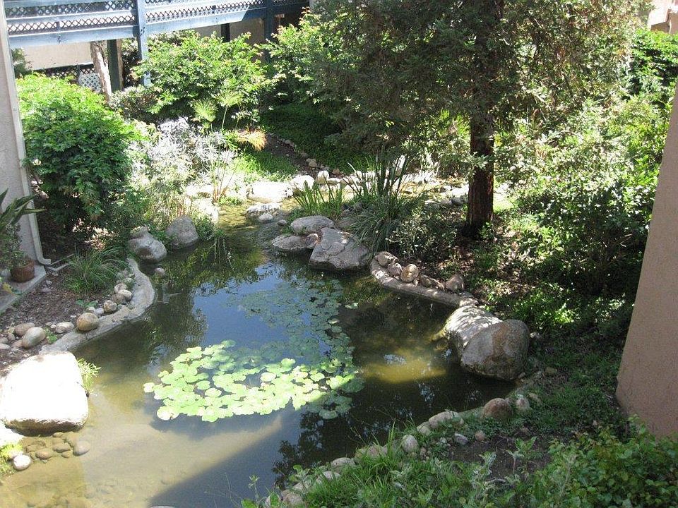 Creek view from Balcony