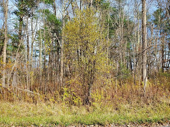 3rd image of Brynmoor Court WL Lot #556