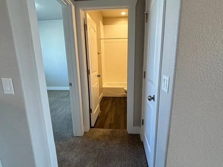 1333 Alyssa Way — Photo 29