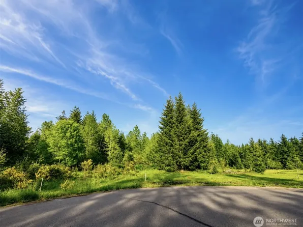 15313 Sunnyside Lane SE, Yelm, WA 98509