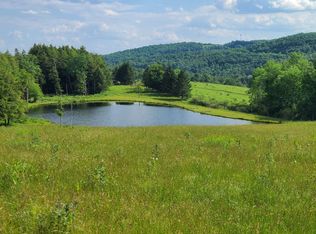 213 Button Rd, West Edmeston, NY 13485