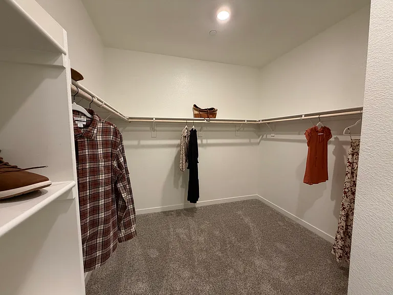 Primary (master) closet