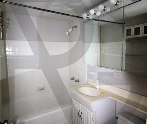 4th image of 445 W Wellington Ave APT 08D