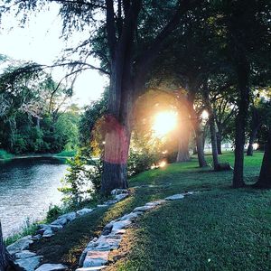 415 Fair Ln, New Braunfels, TX, 78130