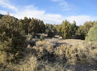 State Highway 322 Ac #30.15, Pioche, NV 89043