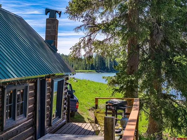 21731 Baron Lake Drive, Cedaredge, CO 81413