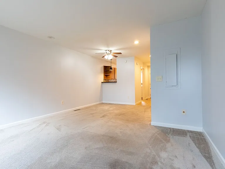 1433 Shipley Ferry Rd E — Photo 11