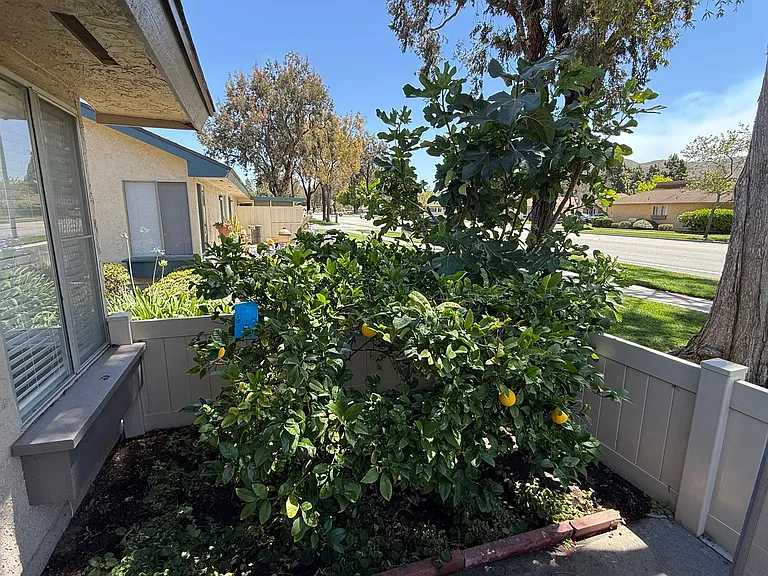 7208 Village 7 — Photo 20
