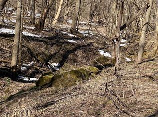 41 Ac Hwy #154, Cazenovia, WI 53924