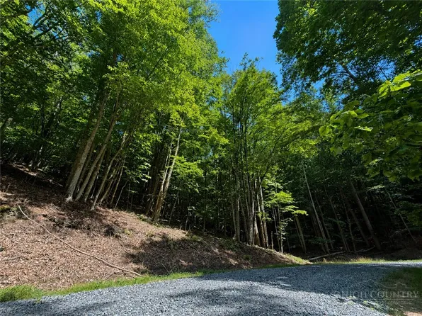 146 Sassafrass Road, Beech Mountain, NC 28604