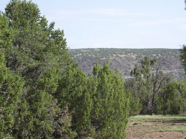 1197 E Indian Blanket Rd #523, Williams, AZ 86046