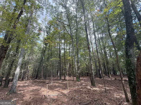 5 Jefferson River Rd, Athens, GA 30607