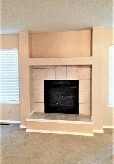 2051 Sage Grouse Ln — Photo 9