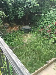 Rented by Brooklyn Real Inc