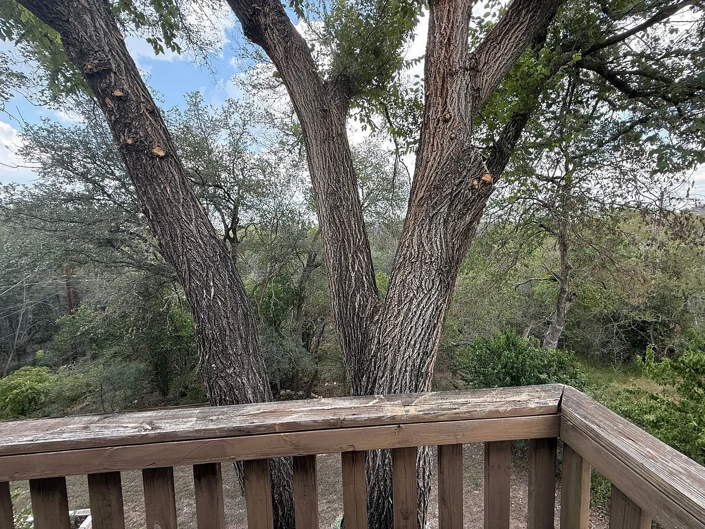 812-A Ramble Ln — Photo 3