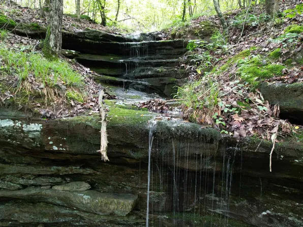 1 County Road 84, Danville, AL 35619