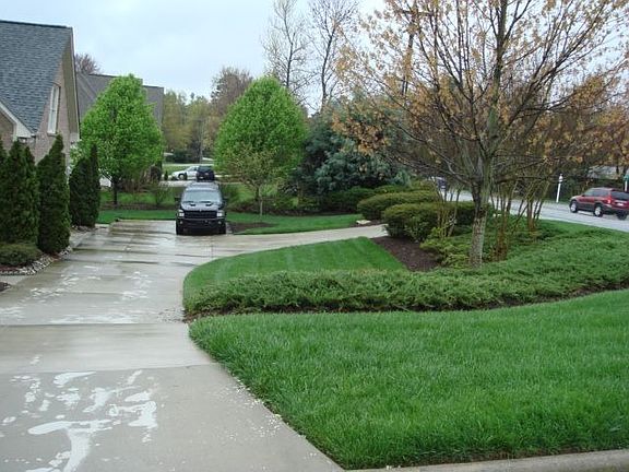 View of Driveways