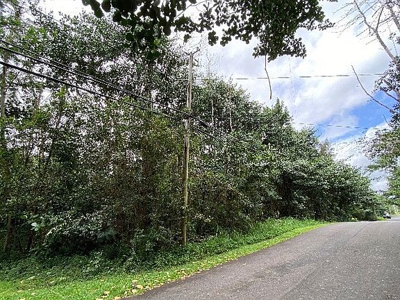 3rd image of 19th Avenue Manako Lot 16