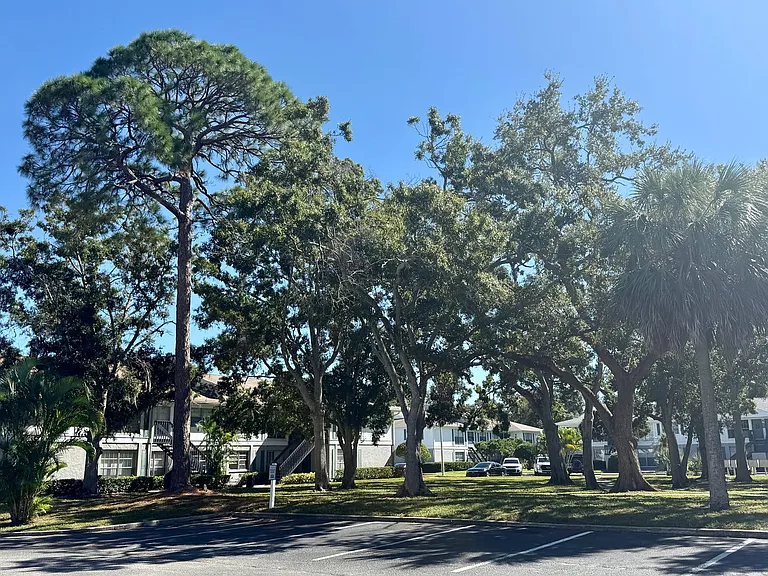 Central Park at East Bay — Photo 17