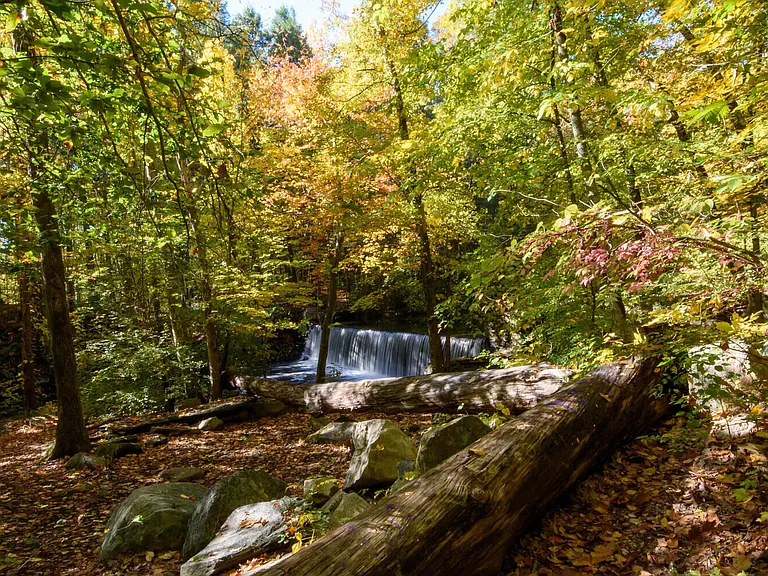 Enjoy nearby Glenville nature views