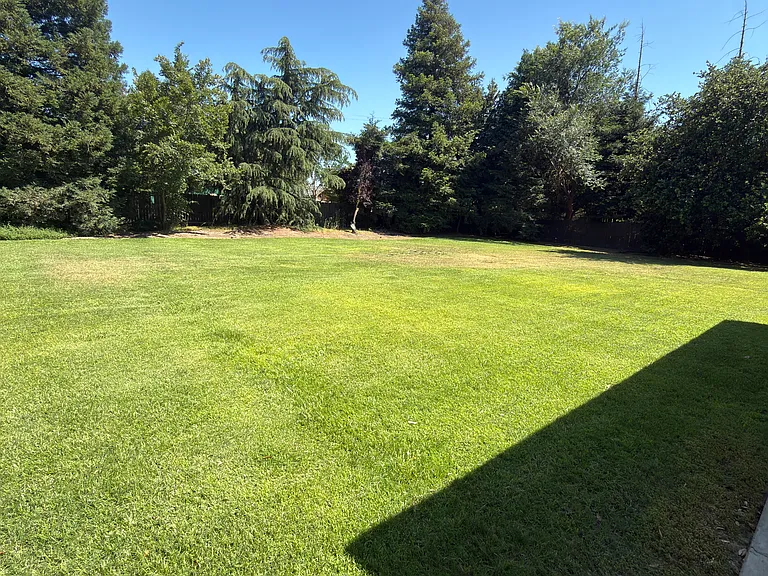 26792 Frisco Way — Photo 16