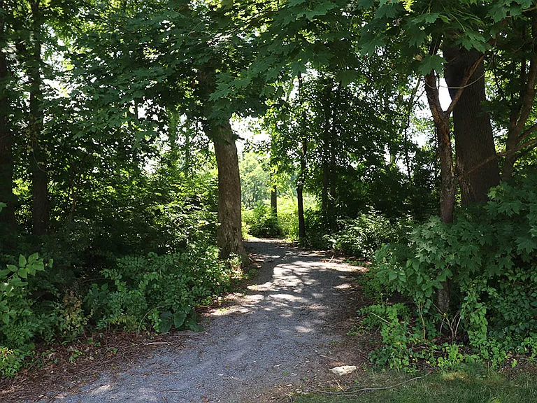 Buttonwood Gardens Apartments — Photo 7