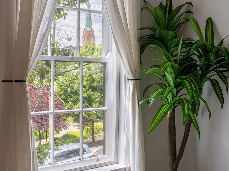 Window View