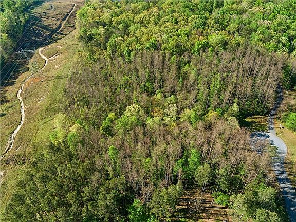 2nd image of 11 Harris Loop #11