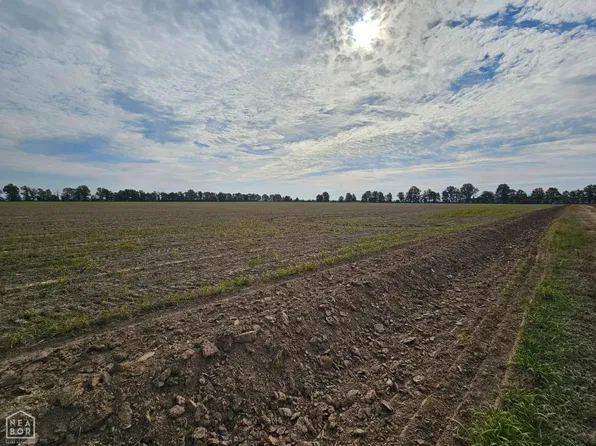 1 Greene 101 Rd, Delaplaine, AR 72425