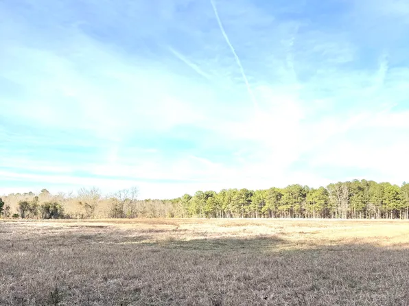 Felderville Rd, Elloree, SC 29047